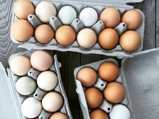 Assorted eggs in various shades, including brown, white, and pale blue, arranged in two egg cartons on a wooden surface. Ideal for showcasing farm-fresh produce or culinary ingredients.